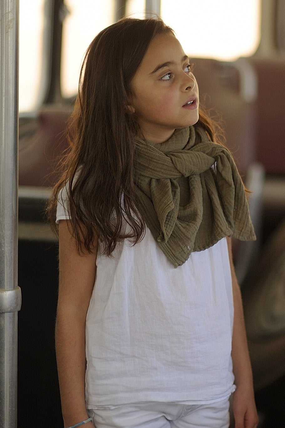 WAYDA Medium olive grove