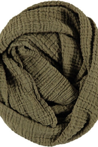 WAYDA Long olive grove