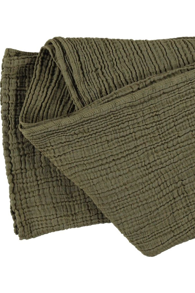 WAYDA Big olive grove